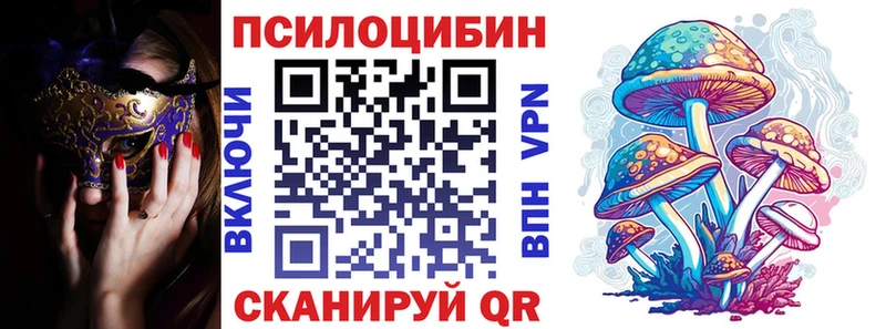блэк спрут онион  Балахна  Псилоцибиновые грибы GOLDEN TEACHER 
